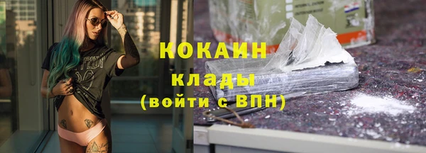 винт Инсар