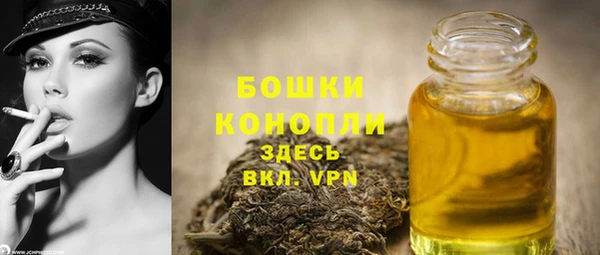 винт Инсар