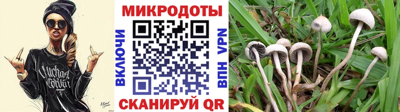 сайты даркнета клад Шагонар Псилоцибиновые грибы Psilocybe